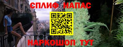 гидра Ливны