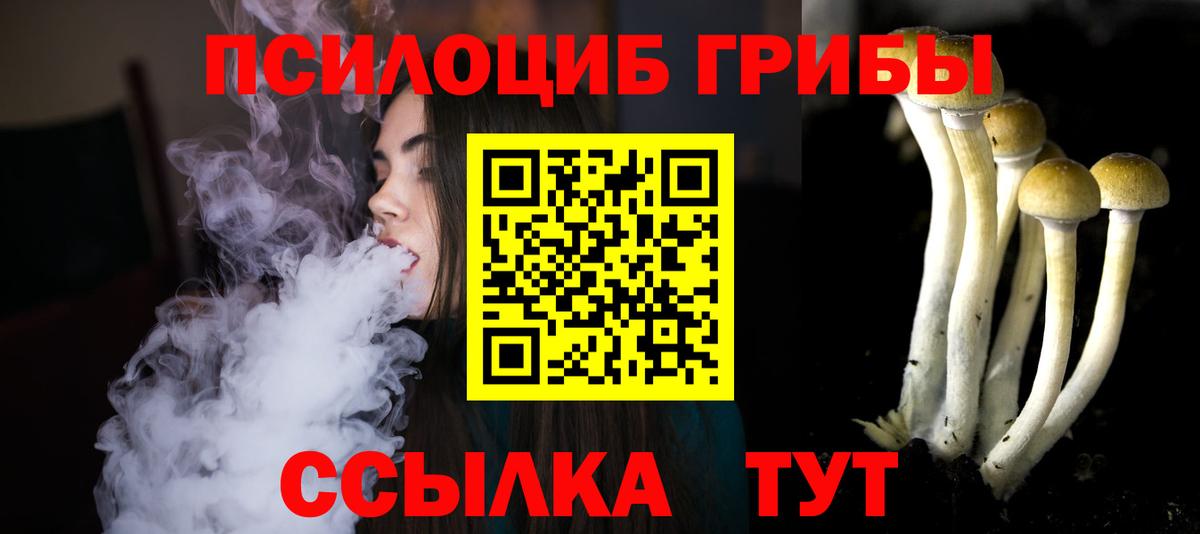Гурьевск  Псилоцибиновые грибы мицелий  Галлюциногенные грибы прущие грибы  Вход с VPN 