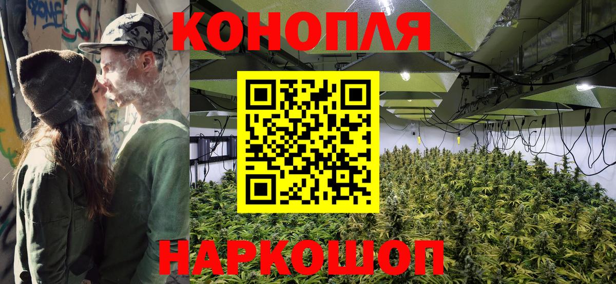 Бошки Шишки индика  Канабис сатива  Гурьевск  Каннабис MAZAR  Вход с VPN 